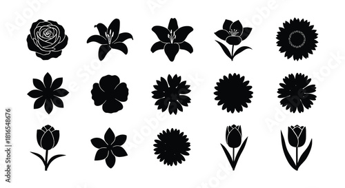 A collection of various black silhouette floral designs and blossom shapes