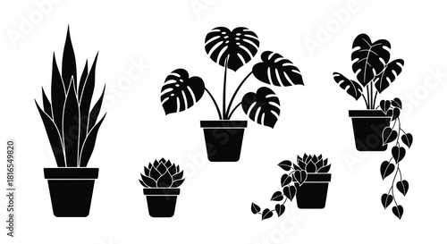 A collection of potted indoor plants in a minimalist black and white style
