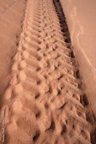 Coches todoterreno por el desierto