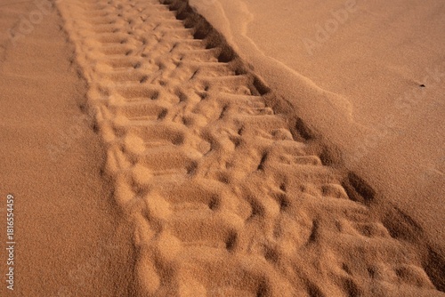 Coches todoterreno por el desierto