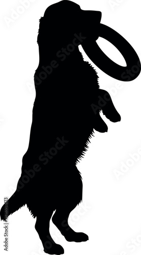 Dog silhouette playing frisbee