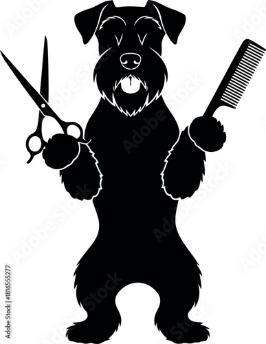 Schnauzer dog grooming silhouette with scissors comb