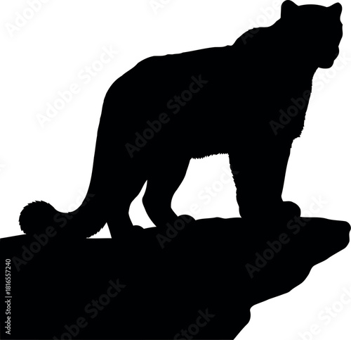 Black silhouette snow leopard on rocky outcrop