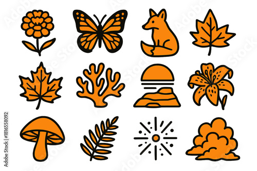 Orange Nature Icons. Orange Nature Elements linear icon set: marigold flower, monarch butterfly, sunset orb, fox, maple leaf, coral fragment, desert rock, tiger lily, mushroom cap