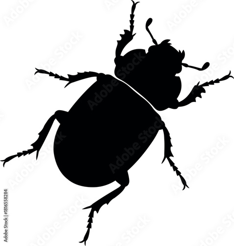 Black silhouette dung beetle insect