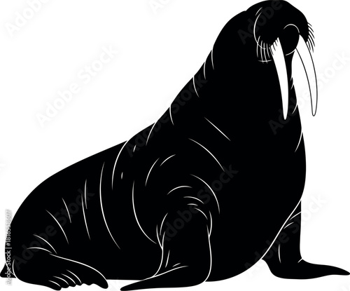 Silhouette walrus arctic marine mammal