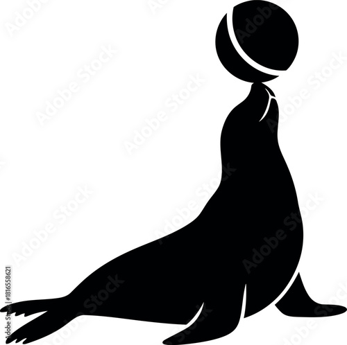 Silhouette seal balancing ball