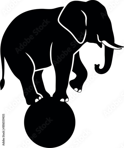 Circus elephant balancing on ball silhouette