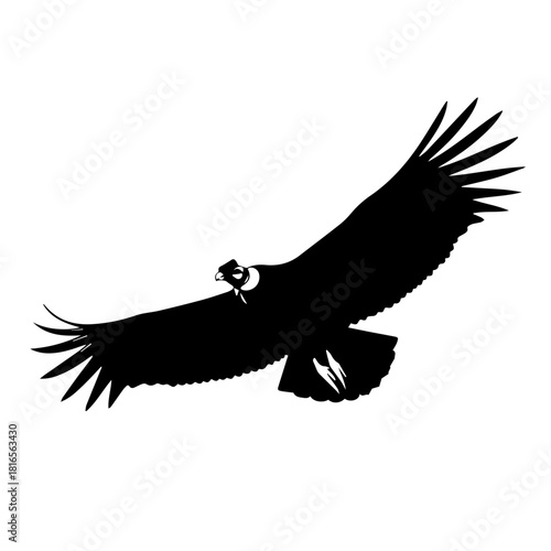 Black silhouette of a majestic condor soaring with wings spread wide against a white background, depicting freedom and power.