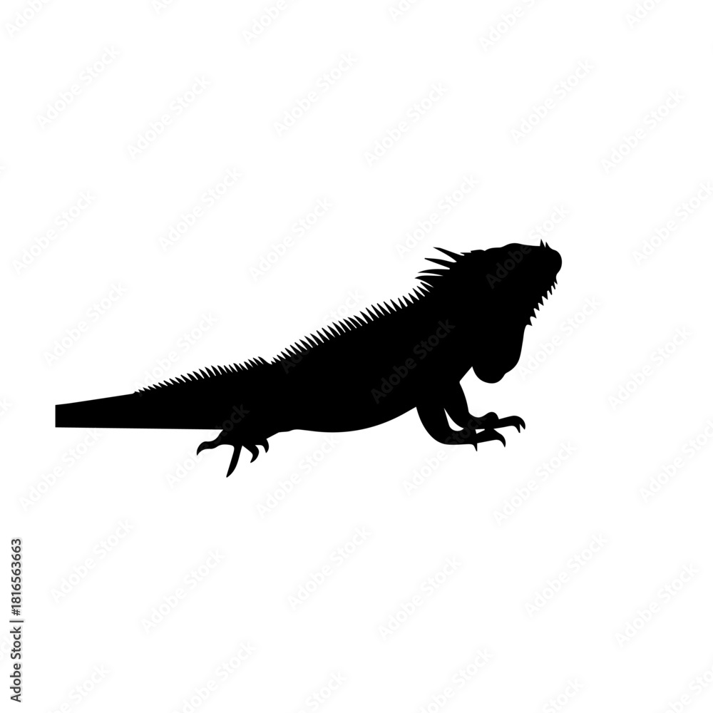 Obraz premium Black silhouette of an iguana, a large lizard, isolated on a white background, showcasing its distinctive profile and spiky crest.