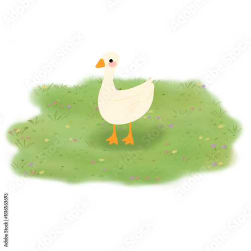 Cute Cartoon Goose or Duck Standing on Green Grass with Transparent Background