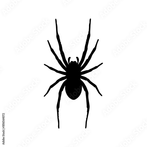 Black spider silhouette with eight legs on a white background.