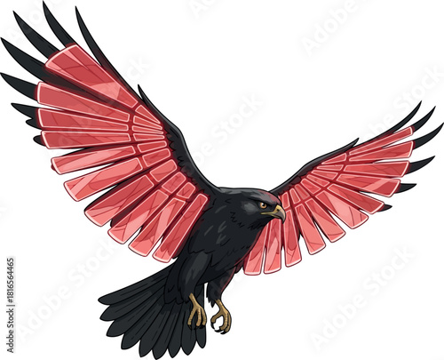 Illustration of a black hawk with red wings vector design of a bird of prey in flight isolated on white background