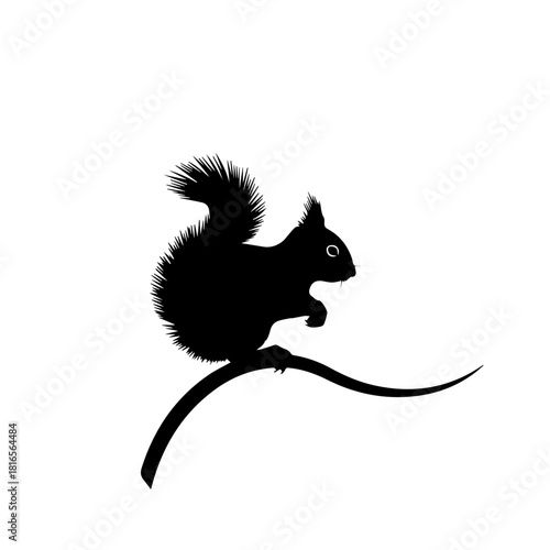 A black silhouette of a squirrel with a bushy tail sitting on a curved branch, isolated on a white background.