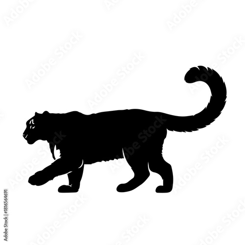 Black silhouette of a saber-toothed tiger walking, depicted in profile against a white background.