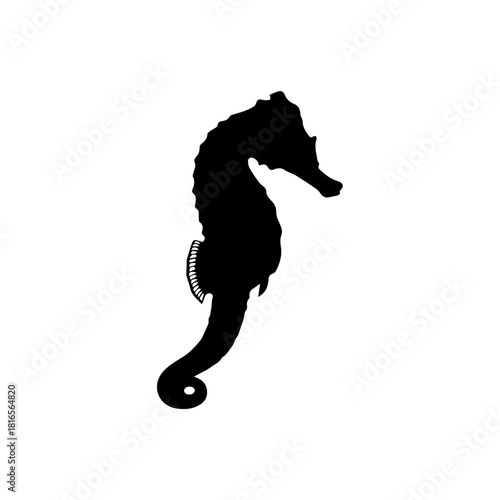 Black silhouette of a seahorse with a curved body and distinctive head on a white background, representing marine life.