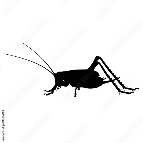 Black silhouette of a cricket insect with long antennae and prominent legs, viewed from the side on a white background.