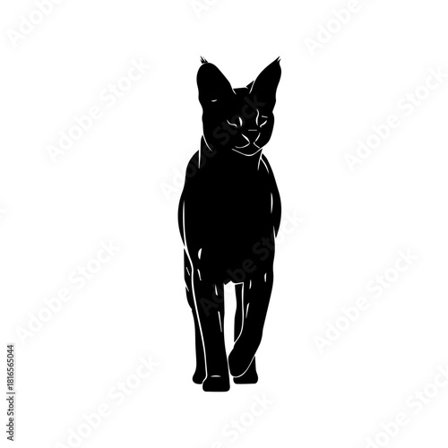 Black cat silhouette walking forward on a white background, minimalist graphic illustration.
