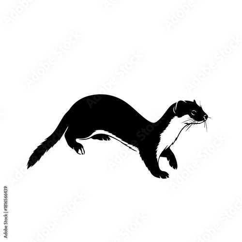 Black and white graphic illustration of a weasel running with its characteristic long body and short legs, depicted in a simple silhouette style.