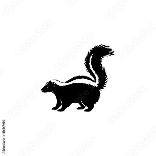 Black and white illustration of a skunk with a bushy tail and a distinctive white stripe on its back, walking in profile.