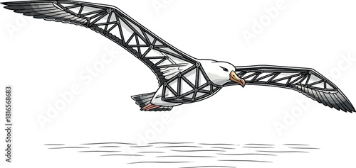 Albatross bird flying over water geometric vector illustration perfect for nature and wildlife designs