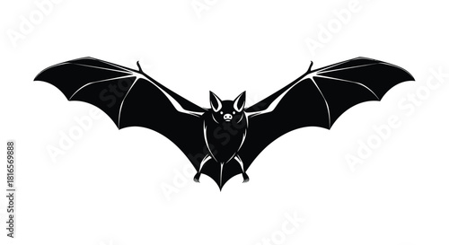 Bat silhouette flying illustration