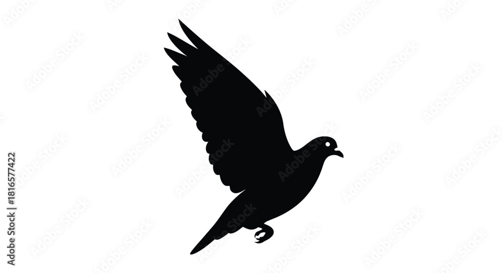 Obraz premium Dove in flight silhouette