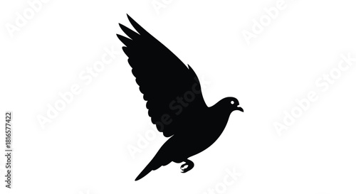 Dove in flight silhouette