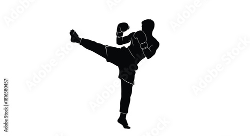 Kickboxer performing a high kick