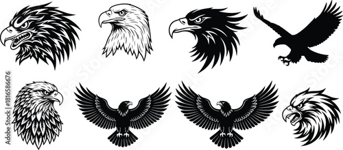 Eagle illustration, bird silhouette, majestic pose, fierce expression, black and white art, tattoo style, wildlife symbol, powerful design, abstract feathers, graphic eagle