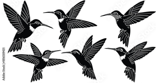 Hummingbird silhouette, flying pose, elegant wings, black and white art, bird illustration, graceful motion, nature design, stylized feathers, wildlife concept, artistic flight
