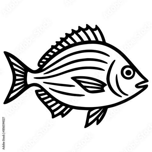 Minimalist line drawing of a marine tropical bream in side view with a spiny dorsal fin and flowing tail, rendered in clean black outline—perfect for marine logos, stickers, and educational designs.