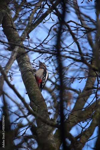 Augenblicke im herbst- / winterlichen Stiftungsland Winderatt