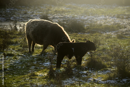 Augenblicke im herbst- / winterlichen Stiftungsland Winderatt