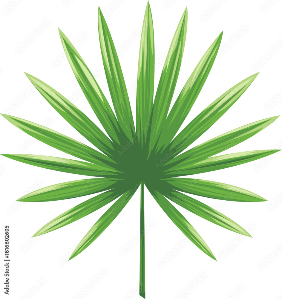 Naklejka premium Adobe Illustrator Artwork