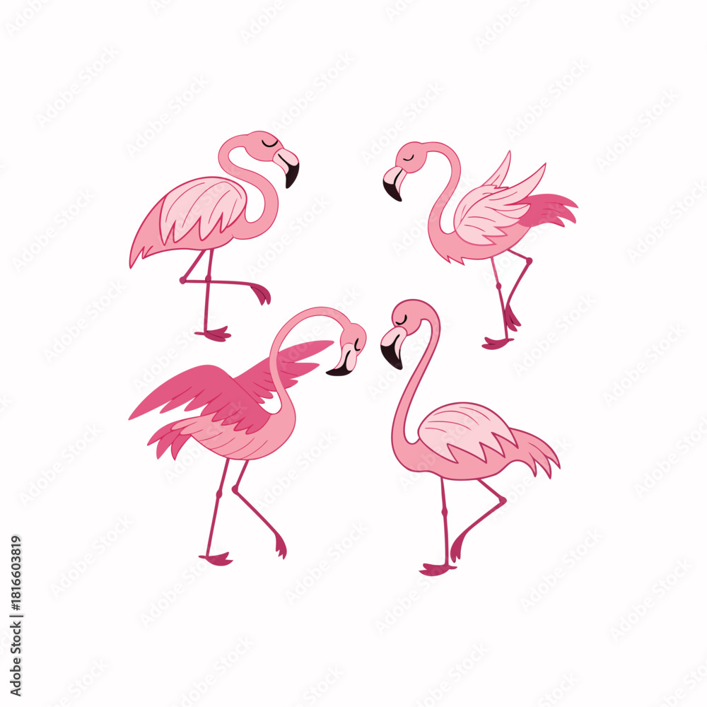 Obraz premium Pink flamingo birds vector illustration on white background