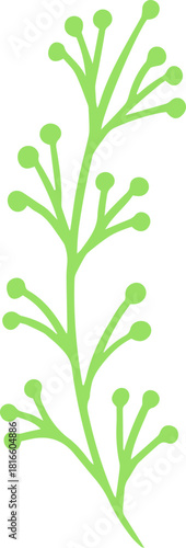 Adobe Illustrator Artwork