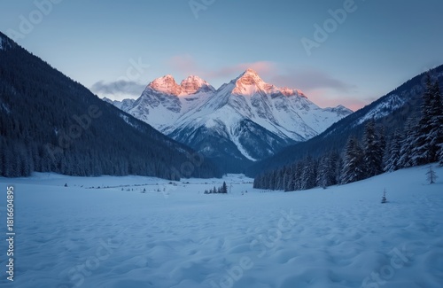 Wallpaper Mural Majestic snow capped mountains in winter valley at sunrise. Golden light illuminates peaks above dark pine tree forest, pristine snow covered ground. Cold frosty nature, wilderness panorama. Serene Torontodigital.ca