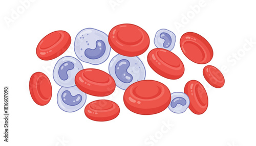 Illustration of various blood cells, including red and white blood cells, isolated on white.