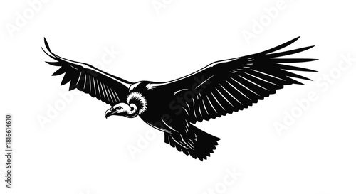 Vulture in flight vector illustration