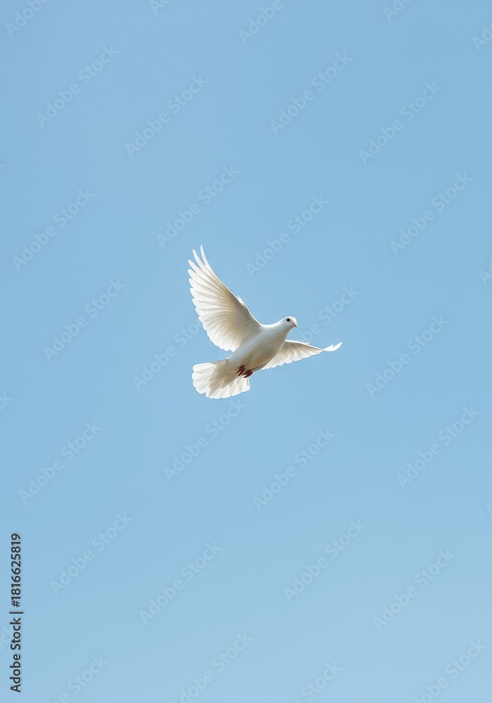 Fototapeta premium A blank white dove silhouette flying across a clear sky symbolizes hope, serenity, and a fresh start for global harmony and conflict resolution ,bright ,daylight ,simple