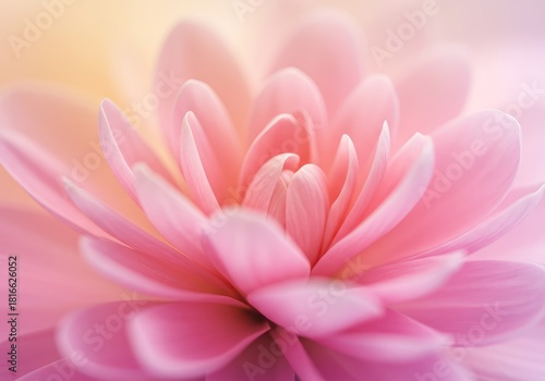 A captivating abstract background showing vibrant, soft, and gentle pastel colors merging like blurred flower petals and light ,blurred ,background ,pastel