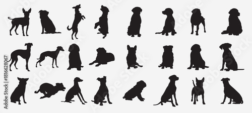 Set of dogs vector illustration