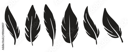 feather set collection 