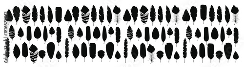 Collection of boho vintage tribal ethnic hand drawn colorful feathers