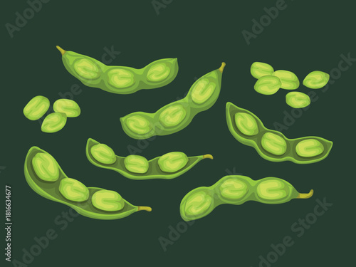 edamame organic cartoon japan seed soybeans vegetarian farm harvest ingredients plant natural diet