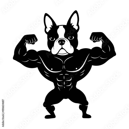 Boston terrier strong muscle dog flexing bodybuilding silhouette vector fitness mascot