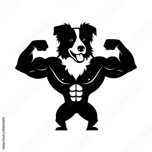 Strong border collie dog flexing muscular athletic physique silhouette vector gym mascot art