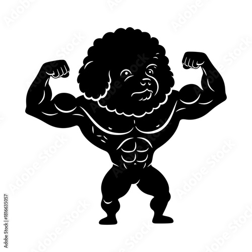 Fluffy poodle bodybuilder flexing muscles in funny tough workout silhouette vector mascot