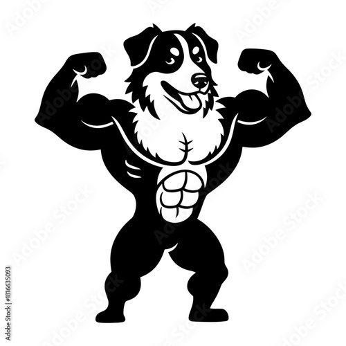 Happy border collie flexing muscles in cute strong gym mascot silhouette vector illustration
